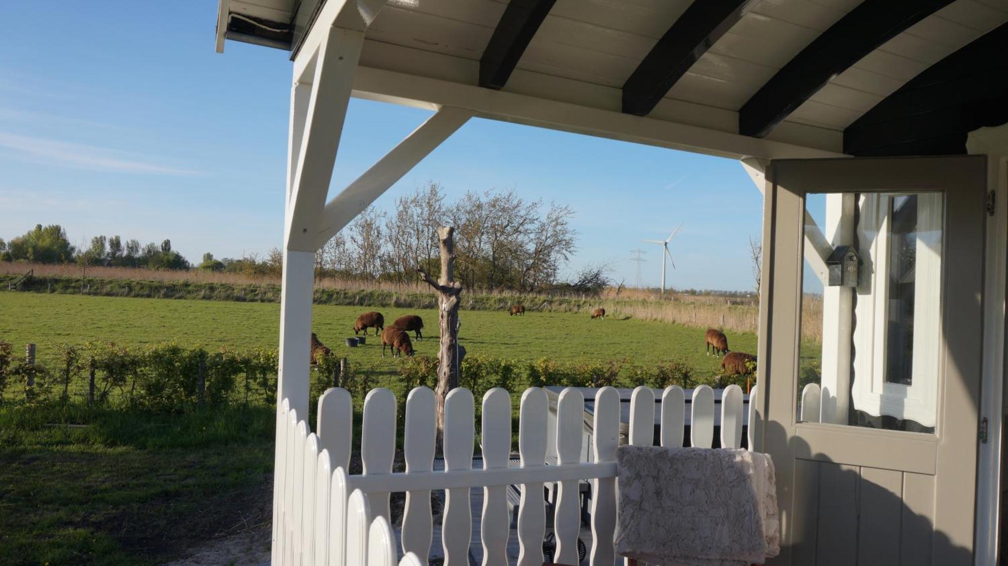 Bed And Breakfast Het Schapenlandje Waarland Zewnętrze zdjęcie