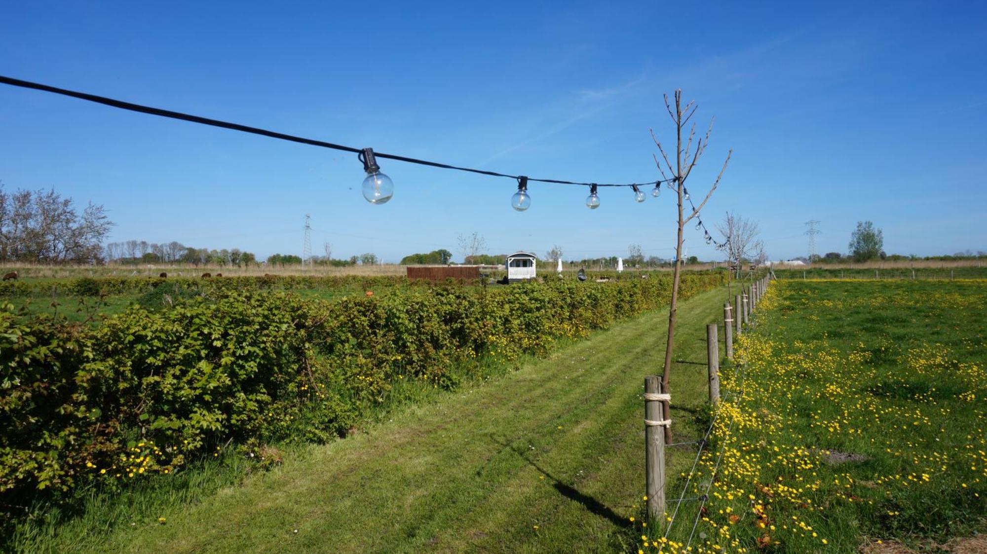 Bed And Breakfast Het Schapenlandje Waarland Zewnętrze zdjęcie